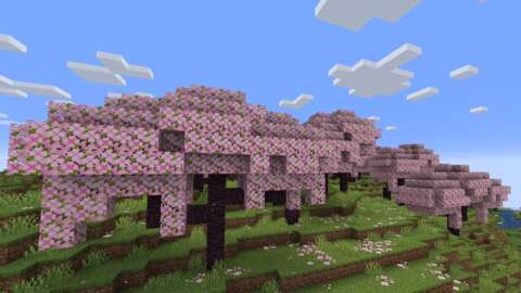 Minecraft 的下一次更新添加了櫻花