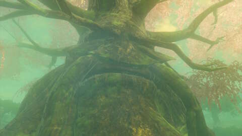 塞爾達傳說：王國之淚 – Deku Tree 和 Hyrule 森林指南